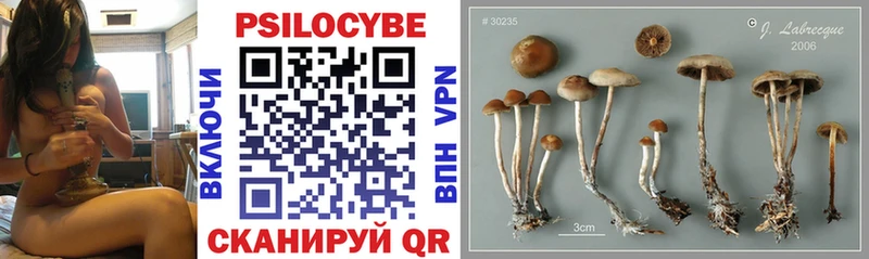 Галлюциногенные грибы MAGIC MUSHROOMS Славск